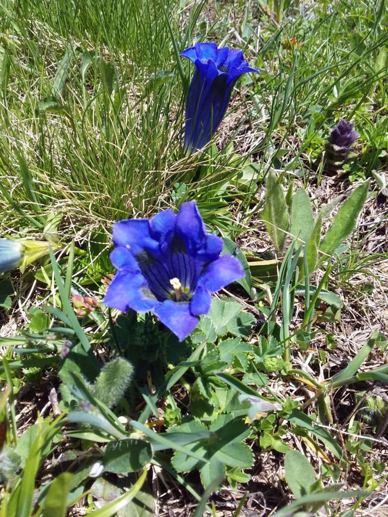 Koebl Hof Longostagno Buitenkant foto